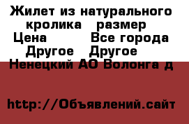 Жилет из натурального кролика,44размер › Цена ­ 500 - Все города Другое » Другое   . Ненецкий АО,Волонга д.